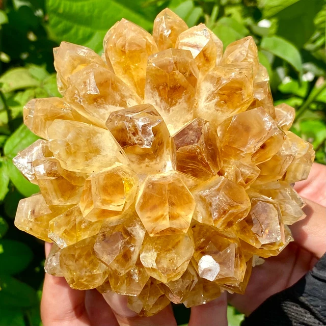 1.5LB   New Find Yellow Phantom Quartz Crystal Cluster Mineral Specimen Healing