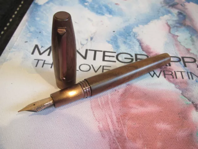 Montegrappa Fortuna Heartwood Walnut Fountain pen Medium nib with note book MIB