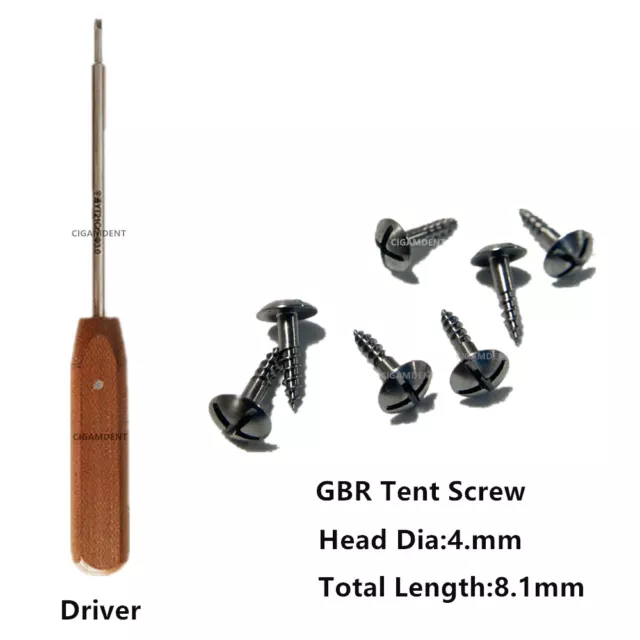 Dental GBR Tenting Screw Driver Handle Bone Membrane Fixation Pins