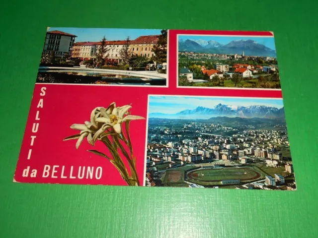 Cartolina Saluti da Belluno - Vedute diverse 1972.