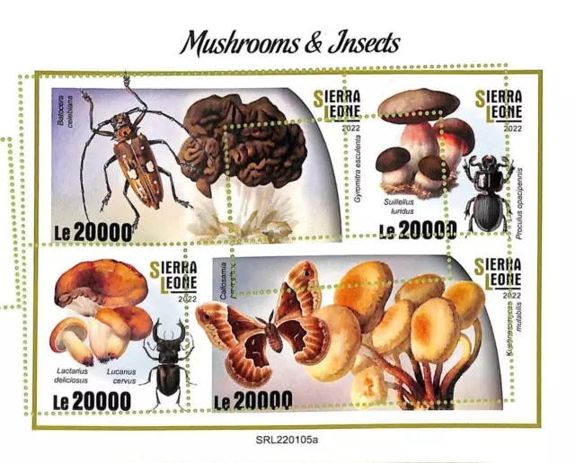 A9439 - SIERRA LEONE -  ERROR MISPERF Stamp Sheet - 2022 - Mushrooms Insects