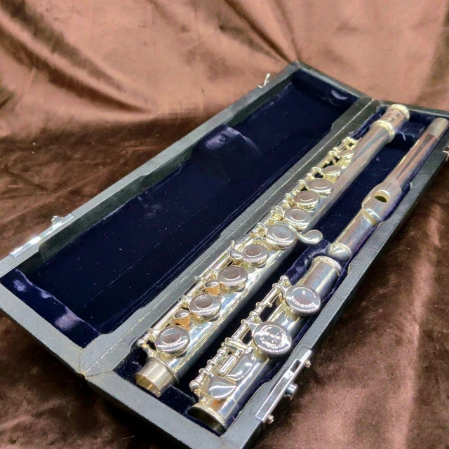 TREVOR JAMES TJ10X Flute in Zipped Padded Case £75.00 - PicClick UK
