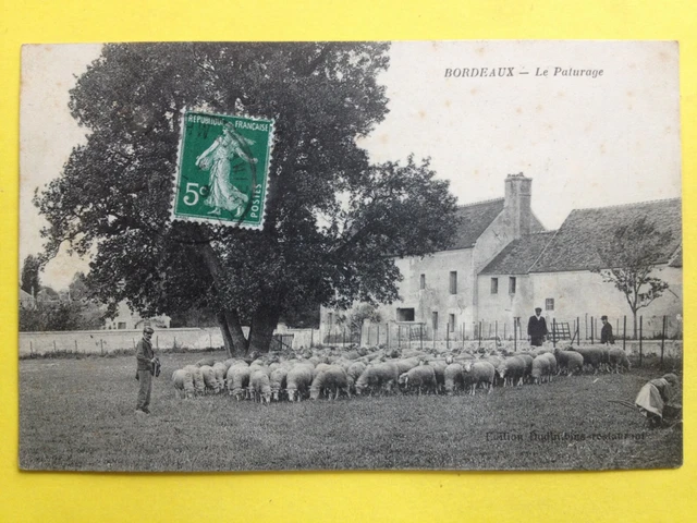 cpa RARE BORDEAUX (Gironde) Le PATURAGE Moutons Berger