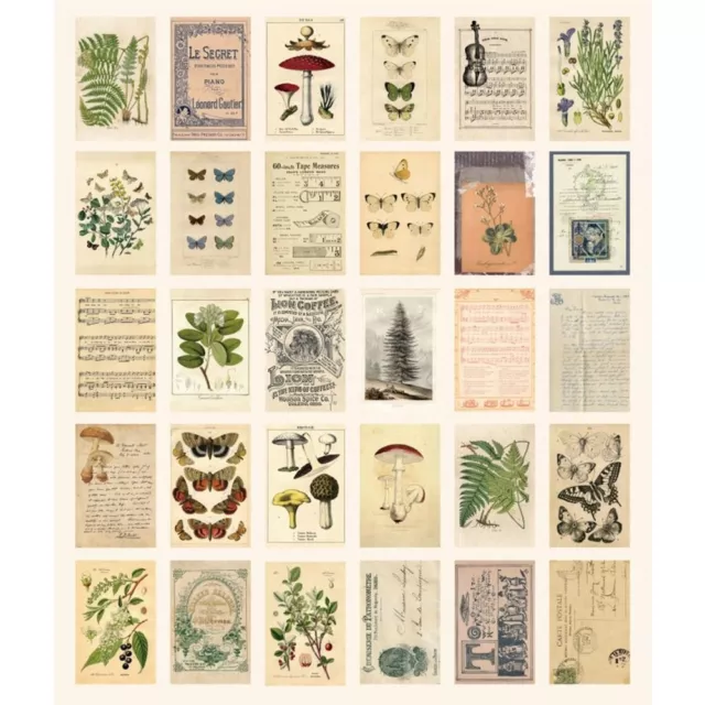 Multicolour Postcard Set Botanical Card Props Retro Style   Women