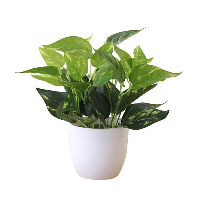 Bonsai Vivada Pianta Fogliame Artificiale Realistico Squisito Senza Fadel