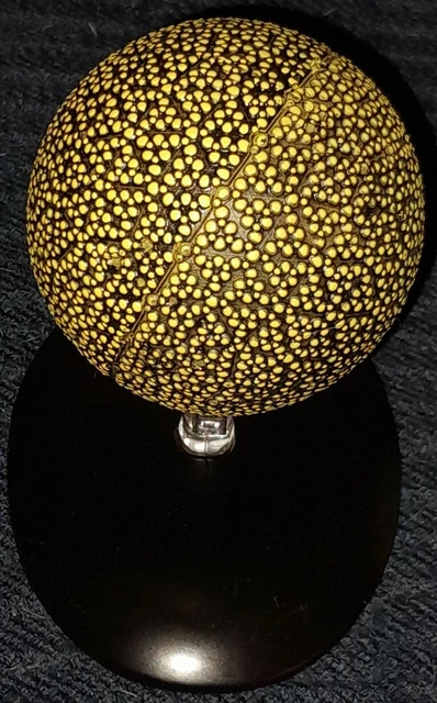 Original Fesarious STAR TREK DIE offizielle Raumschiffsammlung Ausg. 146: Fesarius (Baloks ...