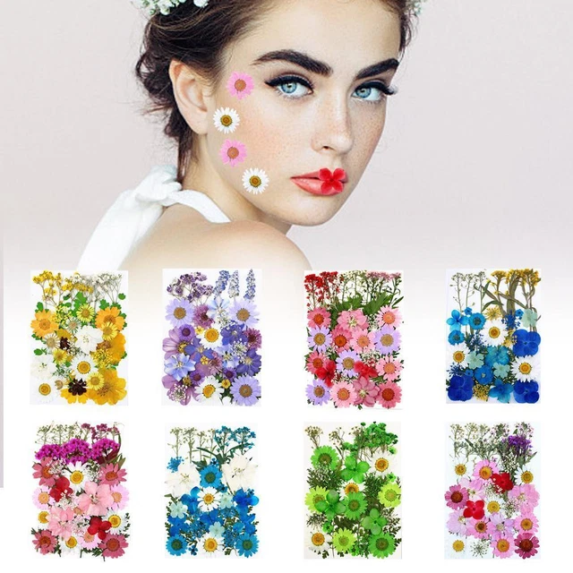 Flores prensadas secas para moldes de resina arte artesanías fabricación de libro de recortes de resina H0K8