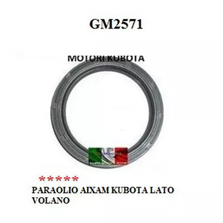 Paraolio Albero Motore Lato Volano Aixam Kubota Dal 97 A 2015 Gm2571