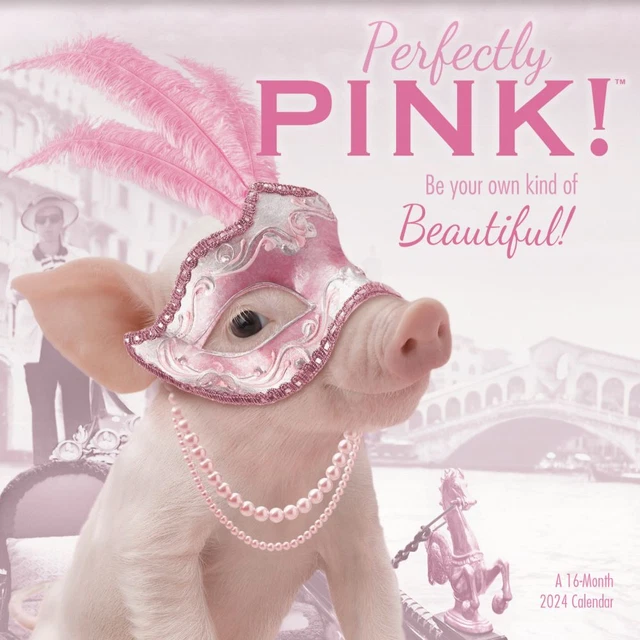 TRENDS INTERNATIONAL, Perfectly Pink 2024 Wall Calendar 17.99 PicClick