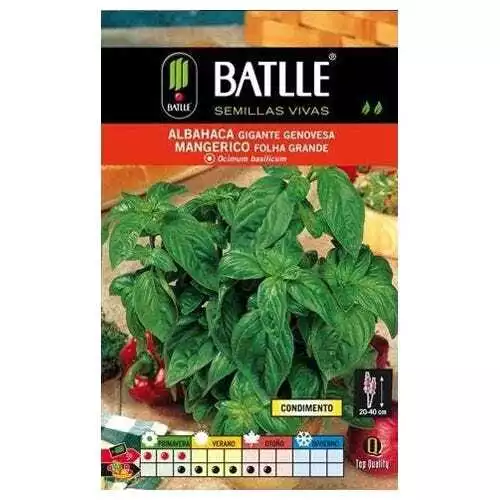 Semillas aromáticas de Battle - Albahaca gigante genovesa (4g)