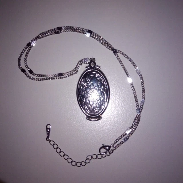 Silberfarbene Kette für Fotos + Samtbeutel Schmuck Geschenk (Geburtstag, Ostern)