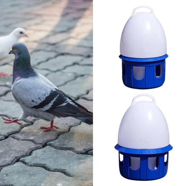 Abreuvoir Automatique Pour Oiseaux Et Pigeons - Capacités 4L à 10L, Avec Poignée, Couleur Aléatoire