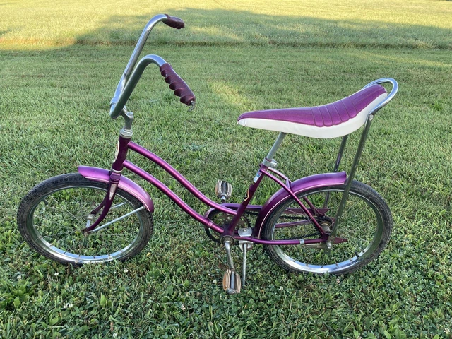 Western flyer miss buzz bike sale