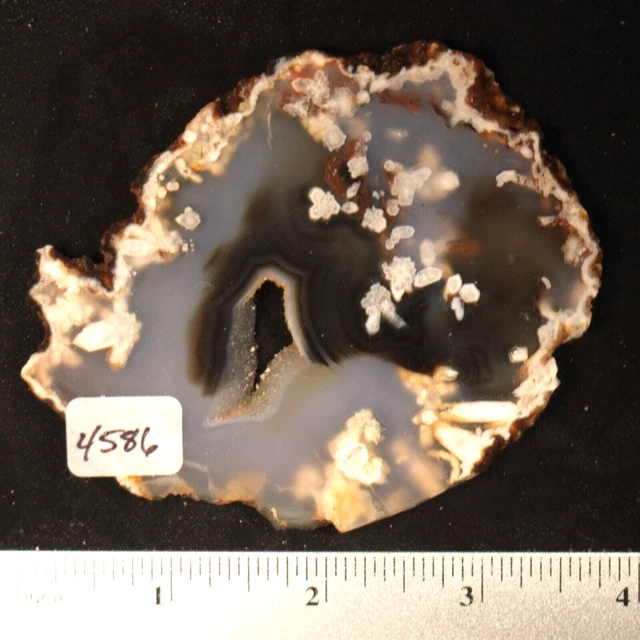 Turkish Flower Agate Lapidary Slab #4586