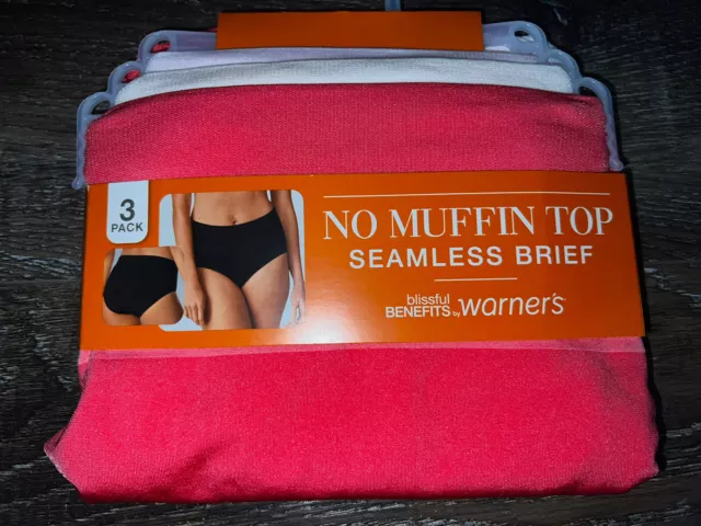 Warners ~ Womens Brief Underwear Panties Nylon Blend 3-Pair Seamless (C) ~ M/6