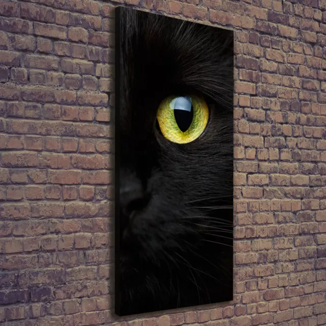 Cuadros Modernos Sobre Lienzo Para el Salón 50x125 Ojos de gato