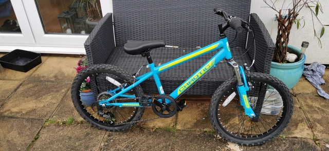 Free spirit 20 inch bike cheap