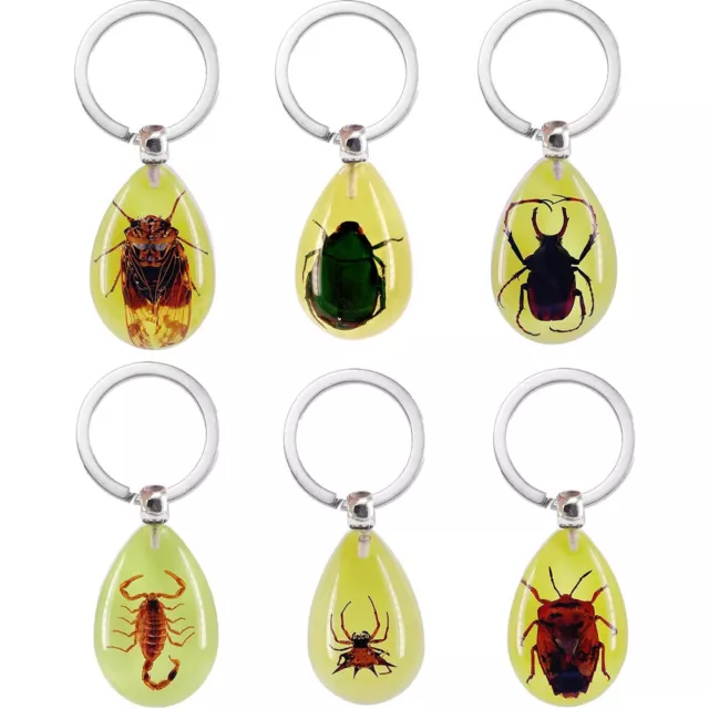 Insect Specimen in Resin Luminous Glow in The Dark Keyring Bottle Opener