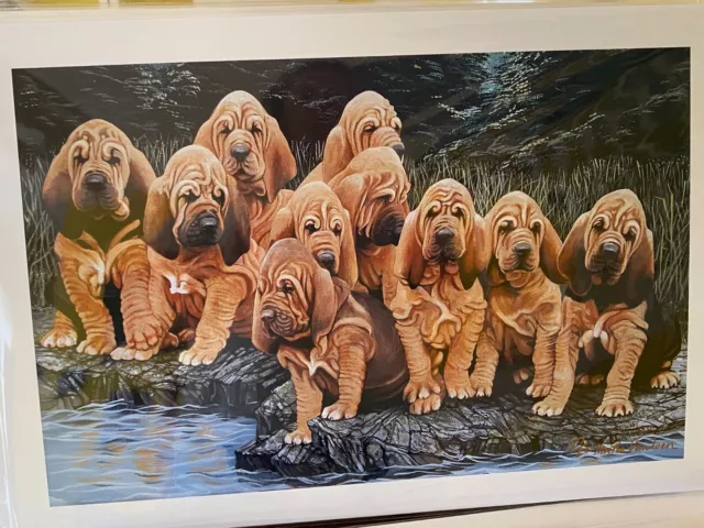 Bloodhound Puppies  Limited Edition  Print By Van Loan 11x17