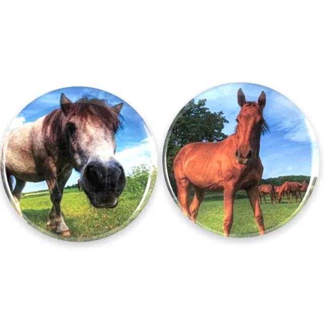 Horse Set of 2 - 2.25 Inch Magnets for Fridge, Kitchen, Whiteboard Cute Magnets