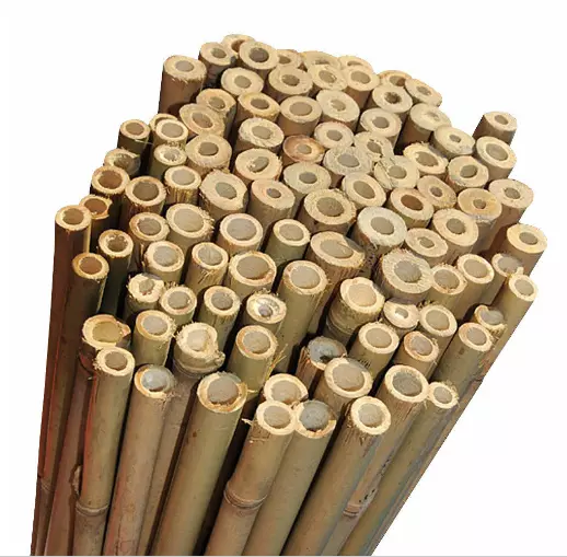 Bastones de bambú de 2 pies-3 pies-4 pies-5 pies de espesor soporte fuerte para plantas de jardín de alta resistencia 2