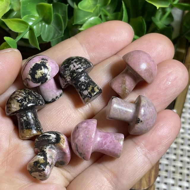 7pcs Natural Rhodonite Quartz Carved Crystal Mushroom reiki Healing Decor A1521 8