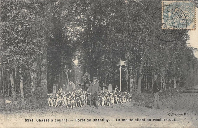 Cpa 60 Chasse A Courre Foret De Chantilly La Meute Allant Au Rendez Vous