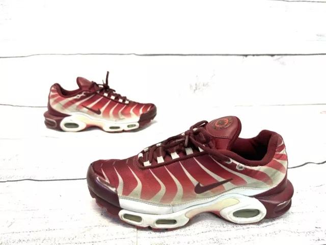 nike tn after the bite