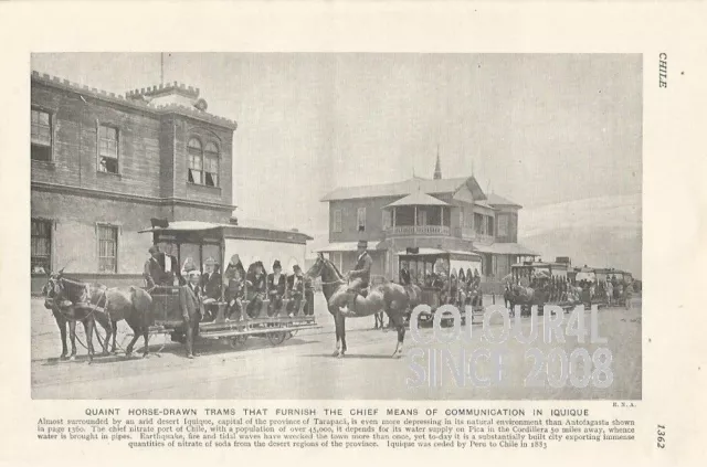 Chile Horse Drawn Tram Iquique Desert People C 1926 Photo Illustration Print