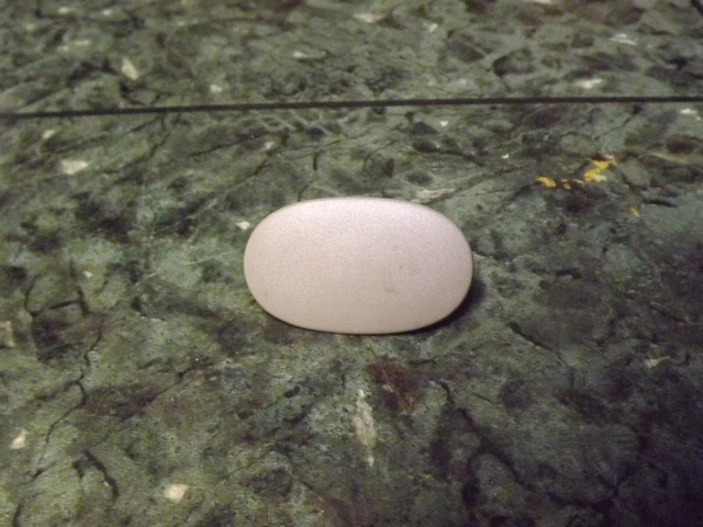 1994 Acura Integra Speaker Genuine Acura Integra Speaker
