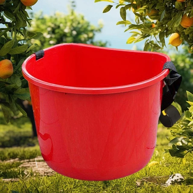 Cesto Portaoggetti Da Parete Da Appendere, Porta Aglio