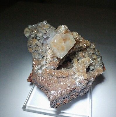 ***SPARKLING-Red Hematite included Calcite crystals on matrix, mine Mexico***