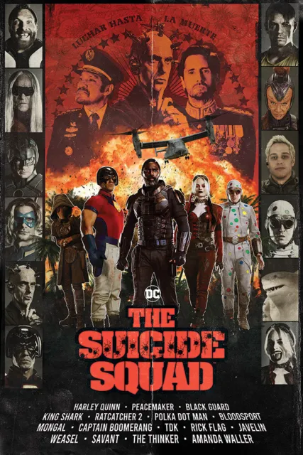 AMC Stubs IMAX Suicide Squad Harley Quinn 11x17 Cardstock Original Movie  Poster