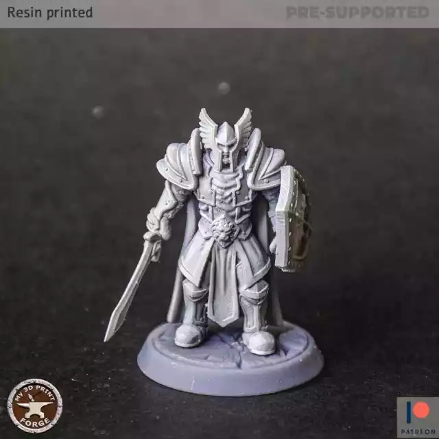 Lordaeron Captain Standing Miniatures Tabletop Dungeons and Dragons Mini