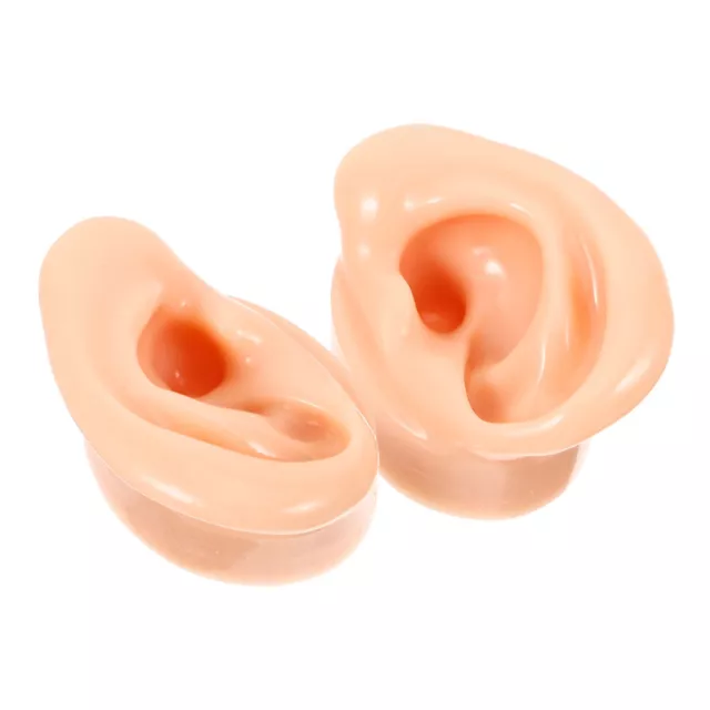 2pcs Silicone Ear Models for Study and Teaching (Assorted Colors)