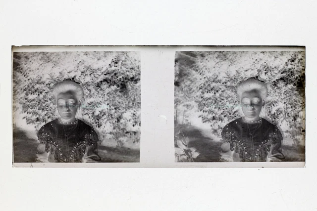 Famille France Photo Amateur NEGATIF PL51L31n6 Plaque de verre Vintage 1909