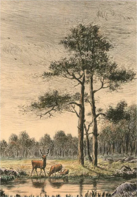 Signed Late 19th Century Engraving - The Forest