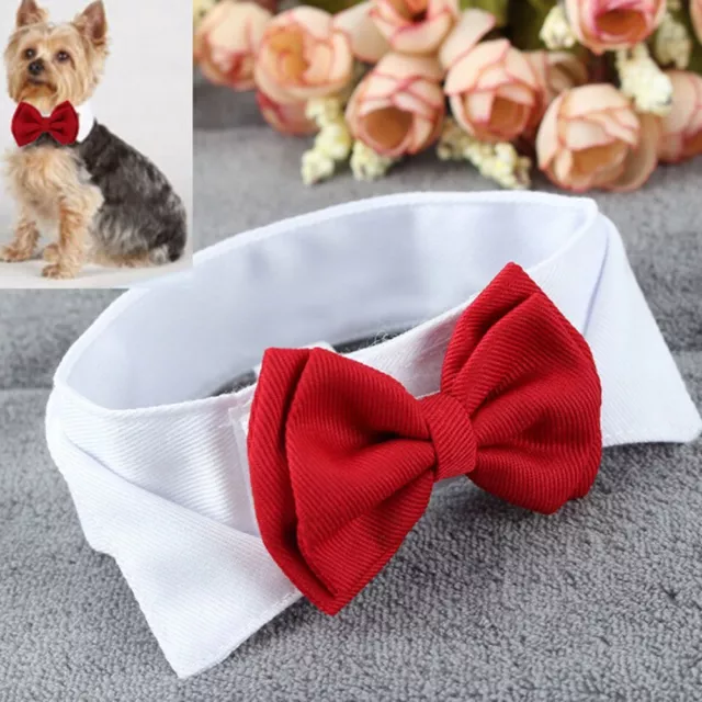 Pet Puppy Kitten Dogs Cat Adjustable Bow Tie Collar Necktie Bowknot Bowtie