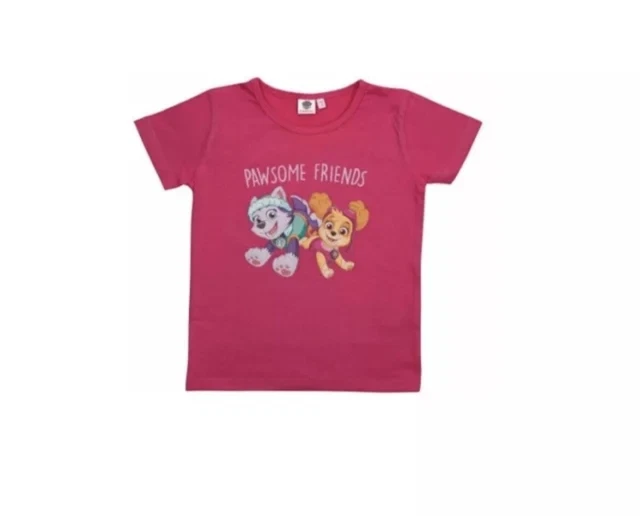 Paw Patrol festeggia un compleanno Disegni da Colorare - Gratis