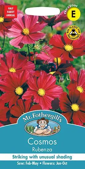 Cosmos rubenza 30 fresh seeds    cosmos seeds    flower seeds    mr fothergills