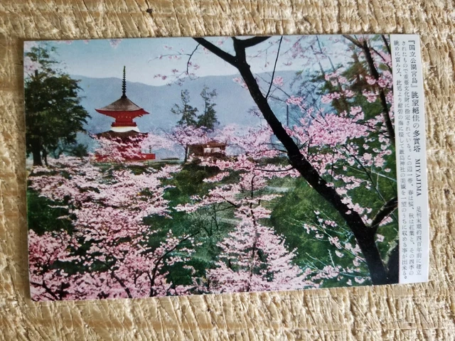 Itsukushima Shrine,Miyajima.vtg Japan Postcard*P39