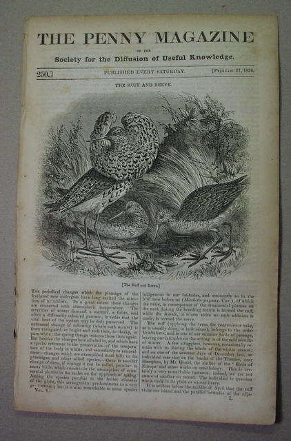 1836 Ruff bird; ISLAND of JERSEY Elizabeth Castle; wheat bread; China silkworms
