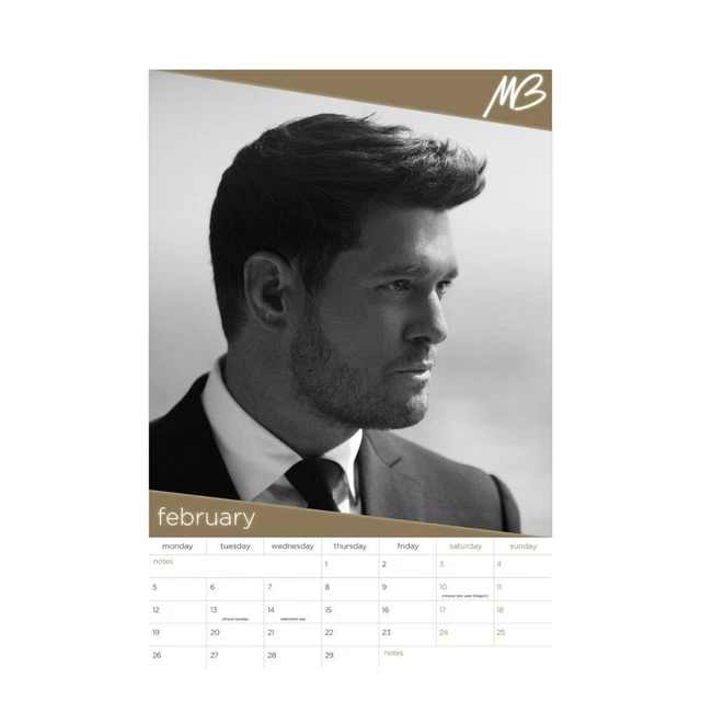 2024 CALENDAR MICHAEL Buble 2024 Calendar Month to View Wall Hanging