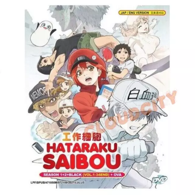 DVD Anime Hataraku Saibou (Cells At Work!) Season 2 + BLACK (1-21 End)  English