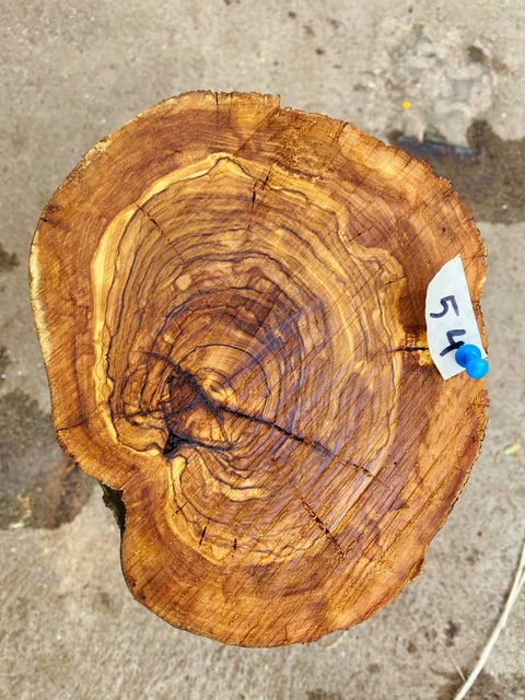 Olivenholz, Olive, Holz zum Basteln, Schnitzen, Drechseln, 8,6 kg, 40cm lang
