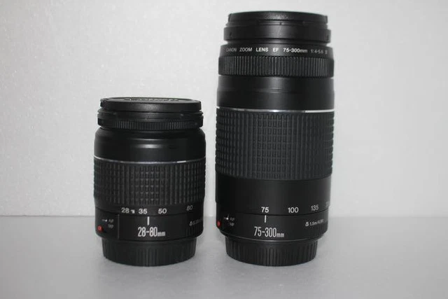 （2セット） Canon EF 28-80&Canon EF 75-300 2本セット Canon EF 28-80㎜/Canon EF 75-300㎜ - レンズ(ズーム)