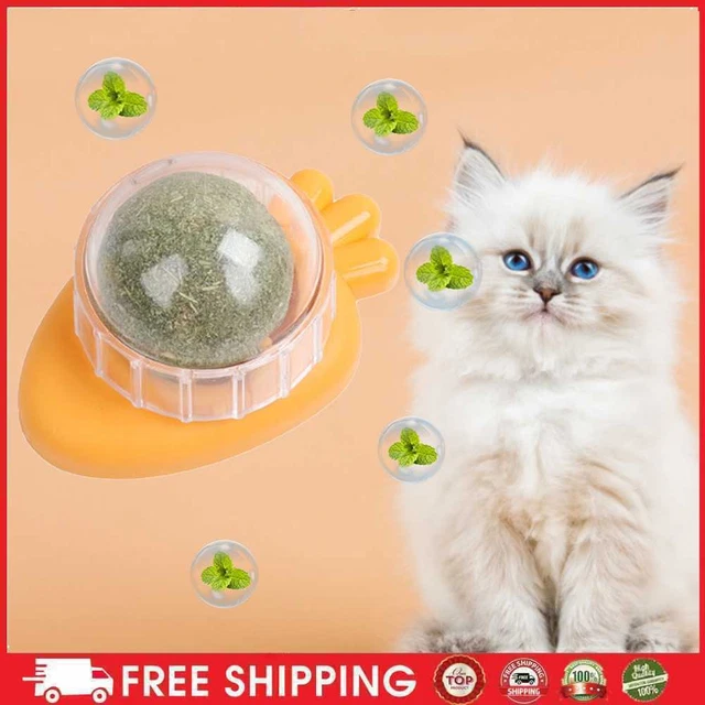 Carota Catnip Toys Treats erba gatta sana palline perdenti fabbisogno per gatti (arancia