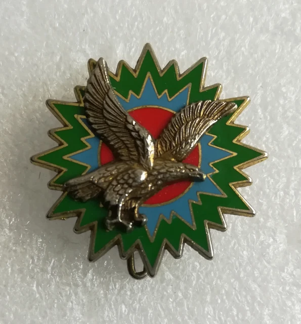 Insigne Médaille EMSD Metz - État-Major De Soutien De Défense - Gendarmerie - France