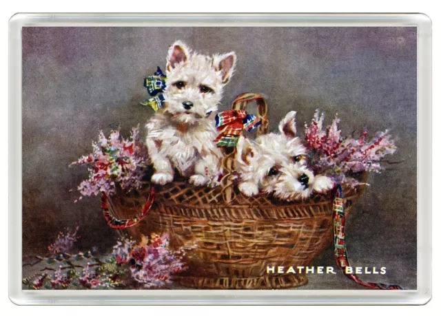 West Highland White Terrier Westie Dog Print Novelty Fridge Magnet   Great Gift