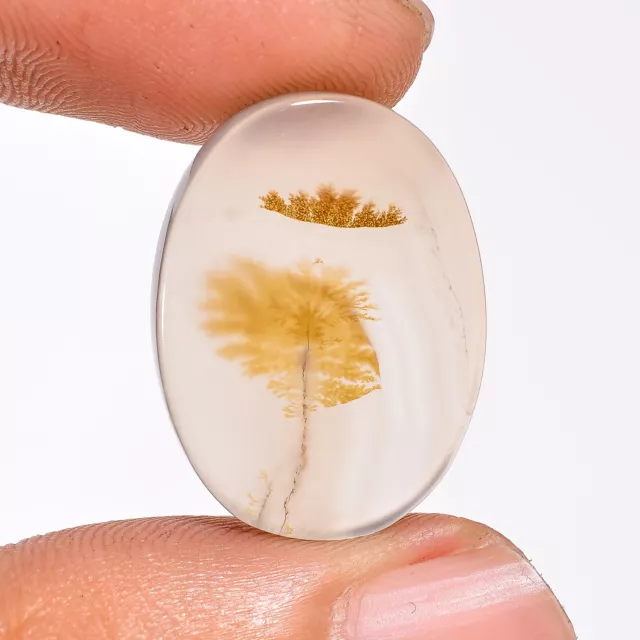 Designer Scenic Dendritic Agate 11.00Cts. 100% Natural Oval Cab Loose Gemstone